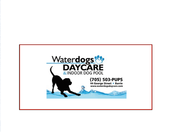 Waterdogs Daycare